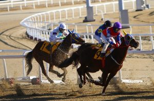 How to Popular Horse Racing Betting Apps: Step-by-Step Guide for India (2026)